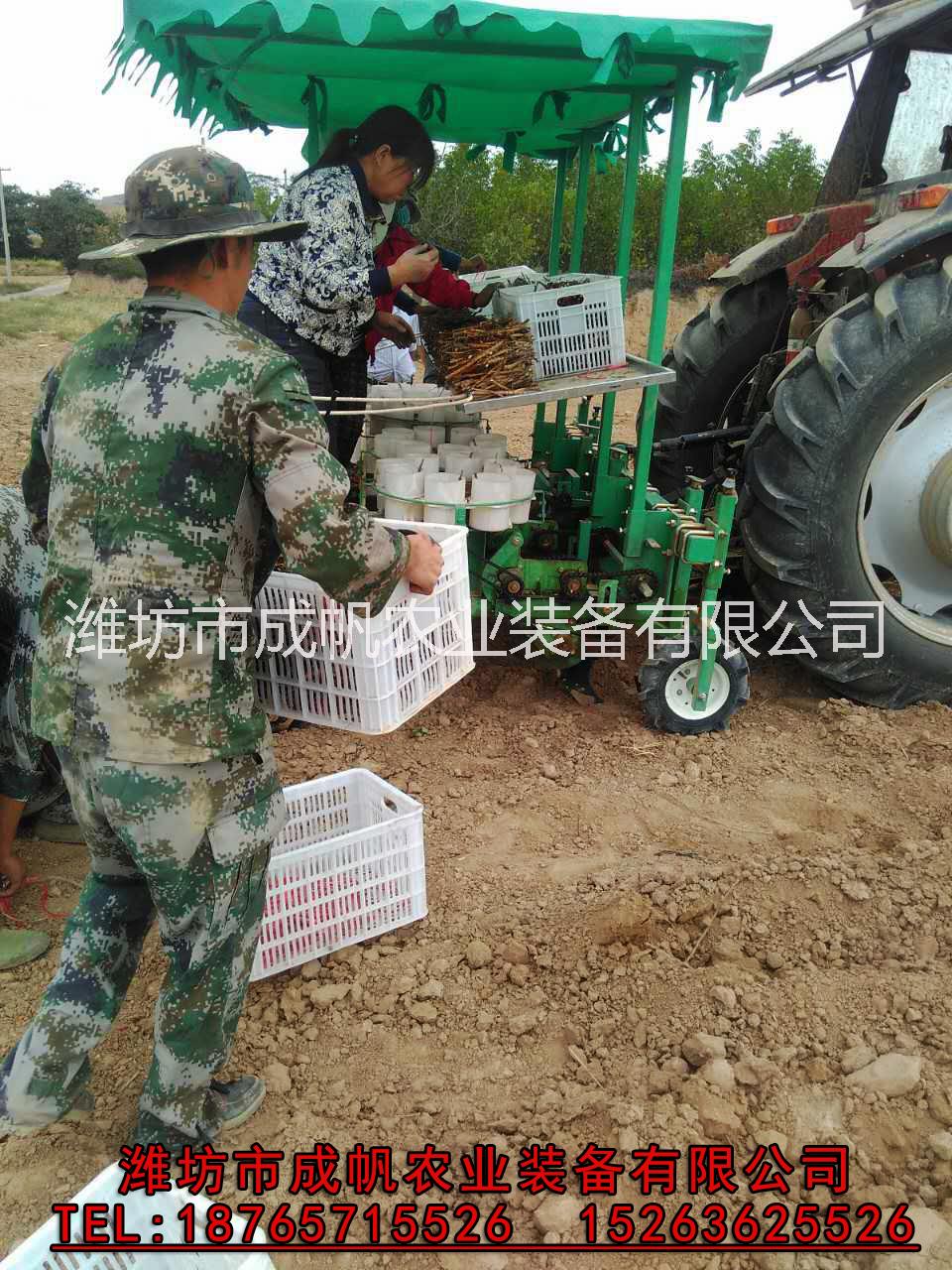 辣椒 多功能移栽機  栽苗機 娃娃菜