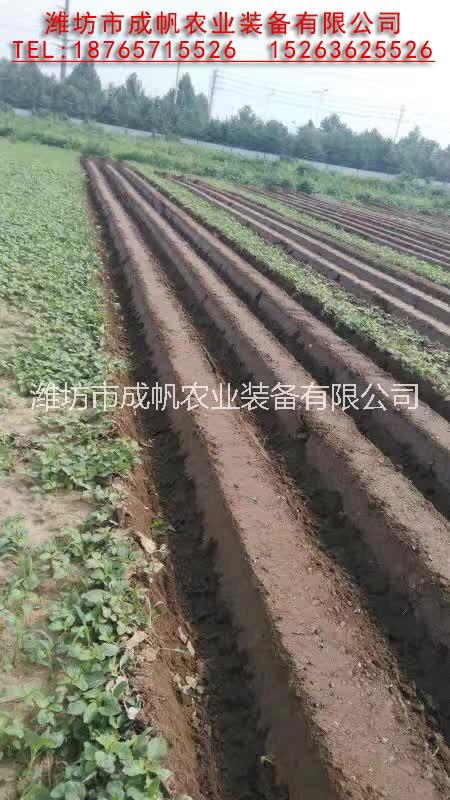 開溝 起壟機(jī)鋪膜 施肥