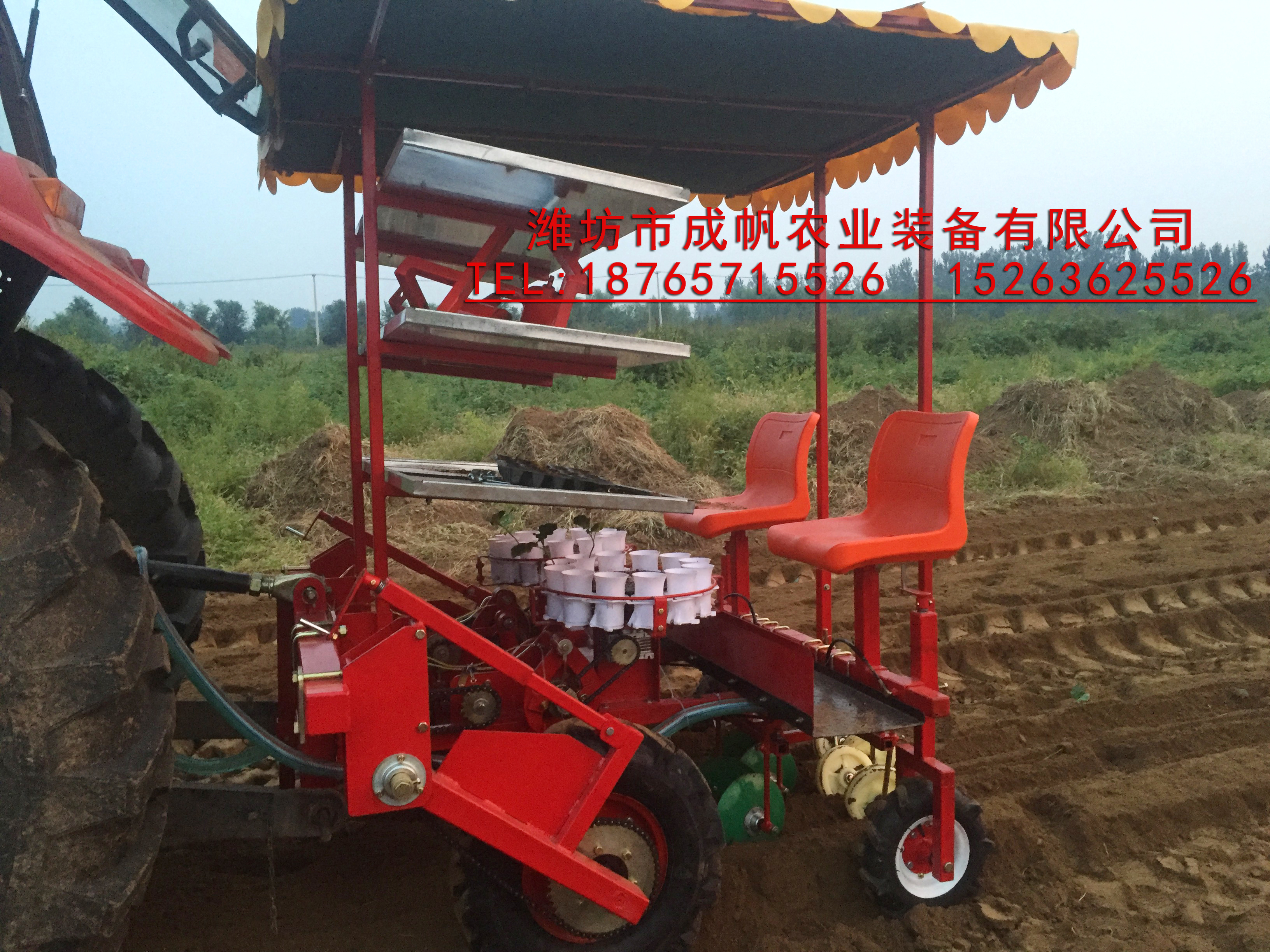 西紅柿 成帆2ZBX-2型辣椒移栽機(jī) 甘藍(lán)