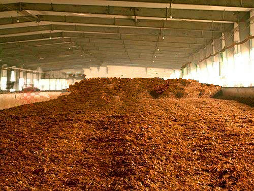 動(dòng)物糞便污染哪里微生物處理效果好