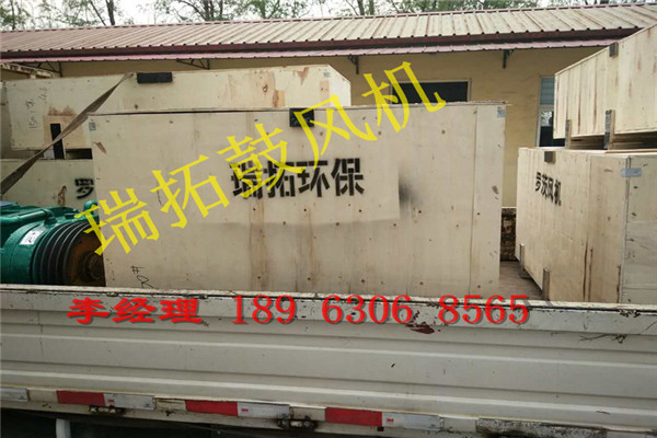 羅茨鼓風(fēng)機適用范圍