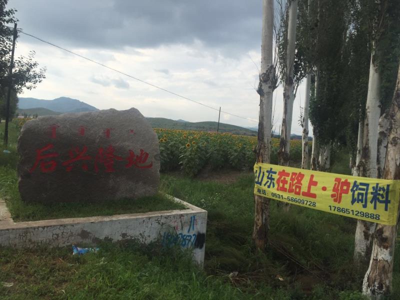 質(zhì)量好的驢飼料批發(fā)，配方—在路上