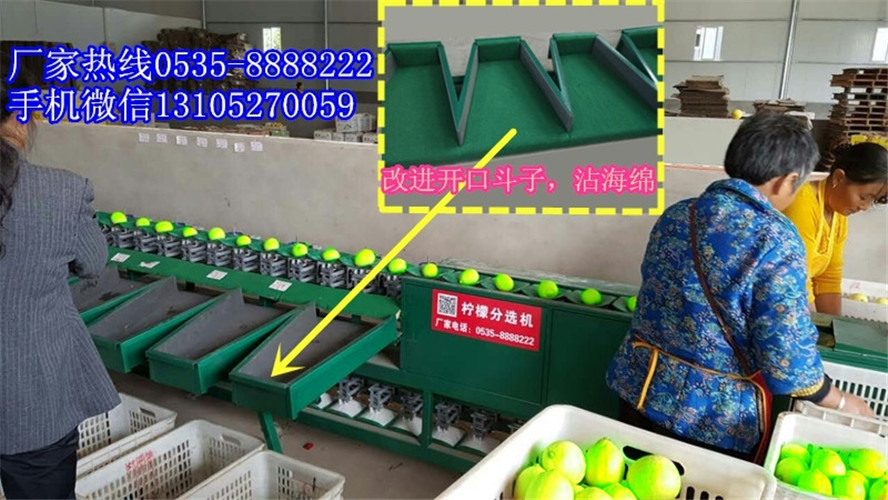 哪家青棗分選機價格實惠？