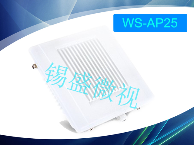 無線網(wǎng)絡(luò)覆蓋 無線ap  無線網(wǎng)絡(luò)覆蓋 無線ap WS-AP2404 無線廠家 錫盛微視