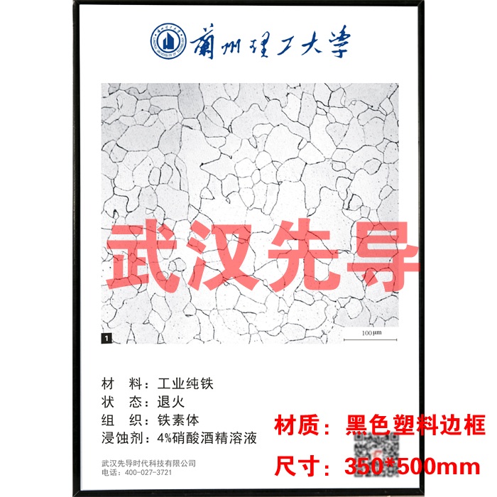 武漢先導(dǎo)：86種金相組織掛圖（帶比例尺可加標(biāo)?；招Ｃ┒ㄖ瓢]廠家直銷