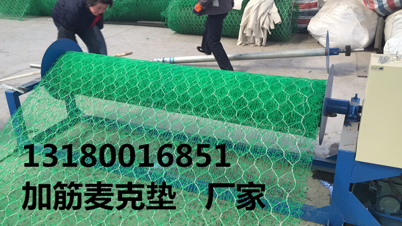 山坡復(fù)綠10%鋅鋁合金加筋麥克墊