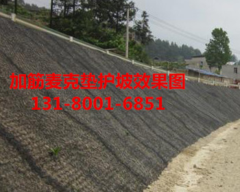 山坡復(fù)綠10%鋅鋁合金加筋麥克墊