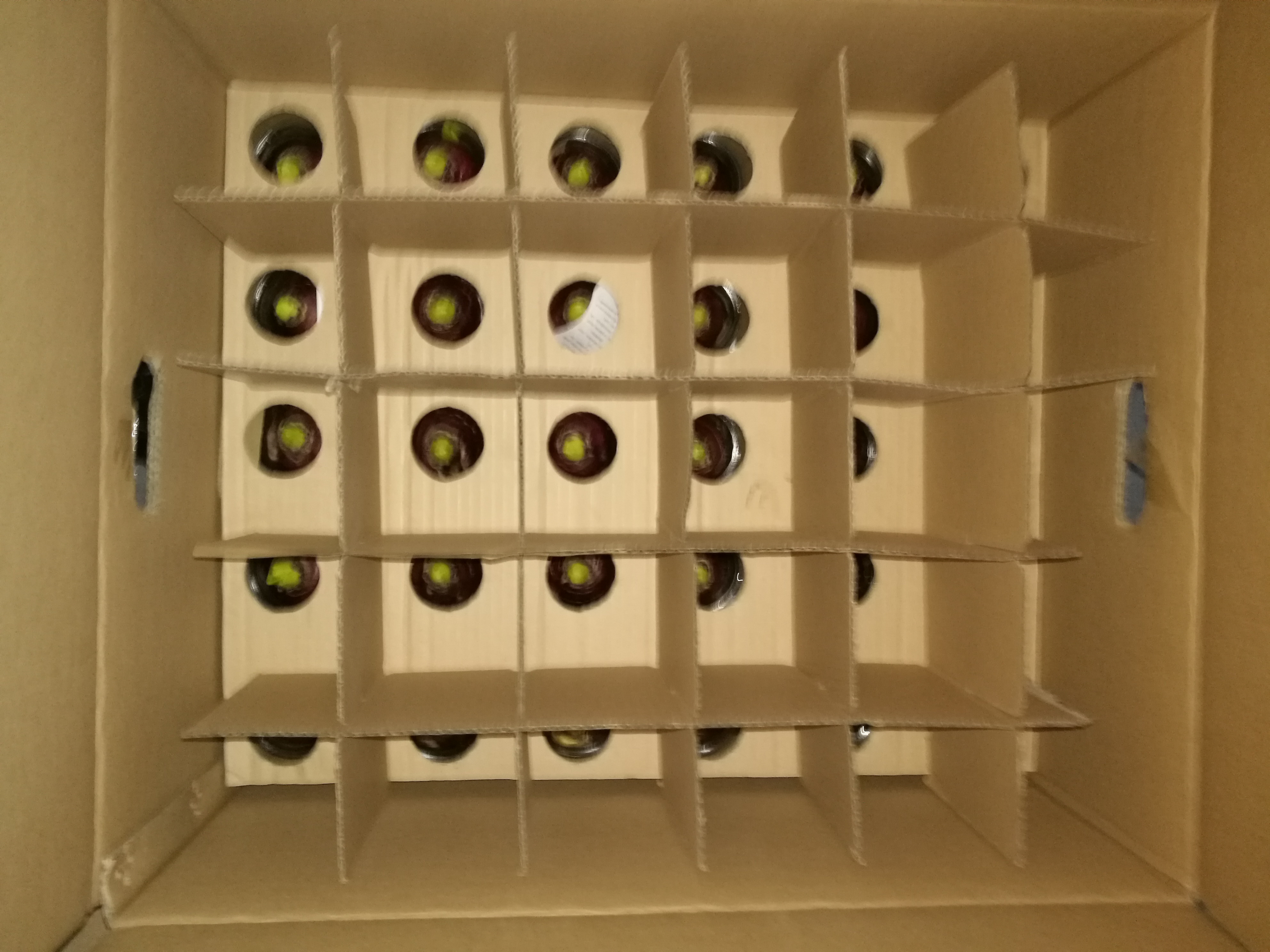 水培風信子 顏色齊全