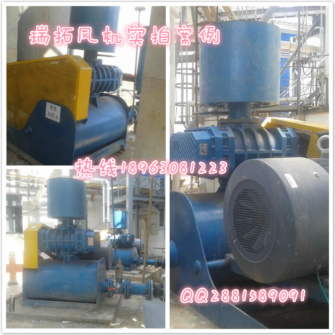 65口徑水處理羅茨風(fēng)機(jī)65口徑曝氣風(fēng)機(jī)