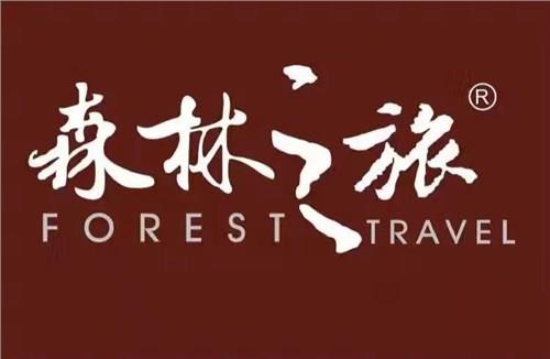 實木地?zé)岬匕迥募液?柚木實木地?zé)岬匕迥募液?森林之旅供