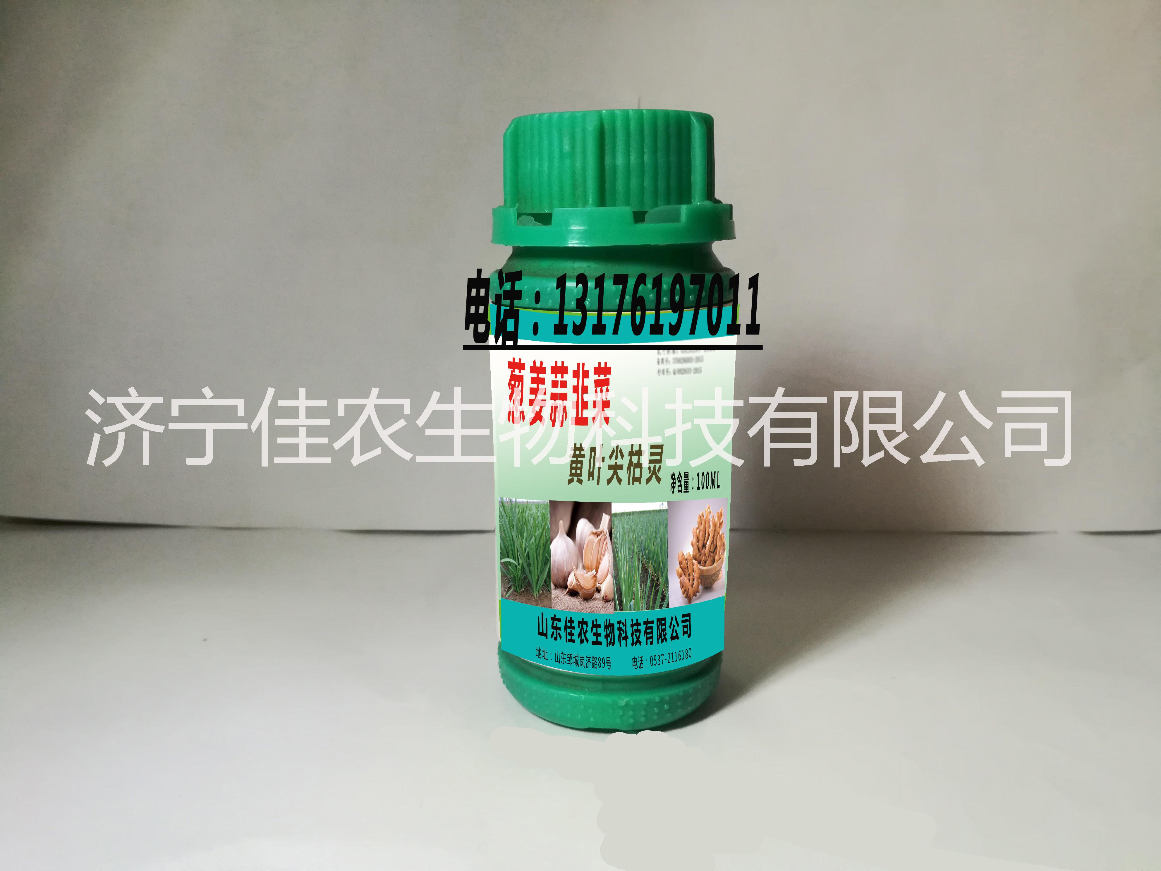 供應(yīng) 甲殼素 生物沖施肥 生根 河南 甲殼素 生物沖施肥 生根  山東 甲殼素 生物沖施肥 膨果