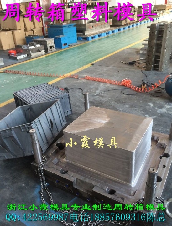 塑膠模 火龍果藍(lán)模具