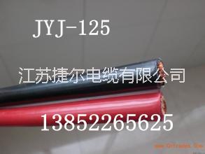 廠家供應(yīng)JYJ電機(jī)引出線