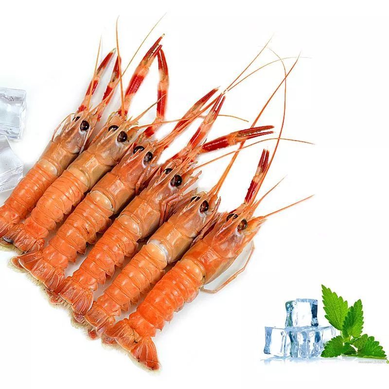 威海海龍蝦批發(fā) 威海海鰲蝦貨源