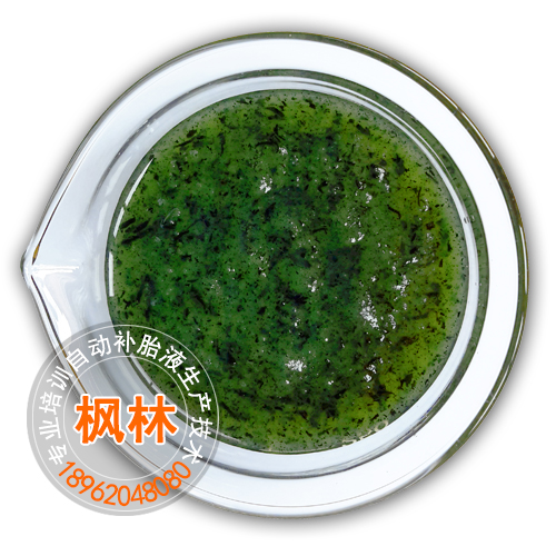 補(bǔ)胎液配方技術(shù)