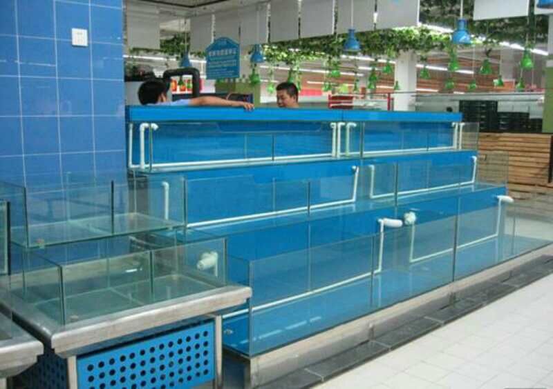 海鮮魚池廣州超市海鮮魚池大排檔海鮮魚池市場海鮮魚池