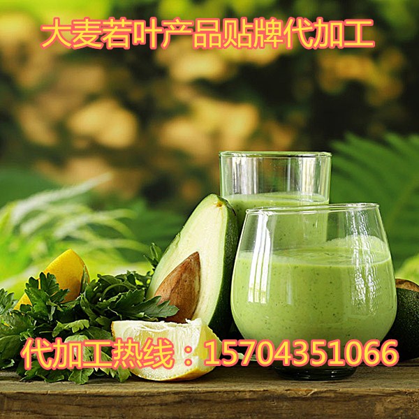 大麥若葉代加工