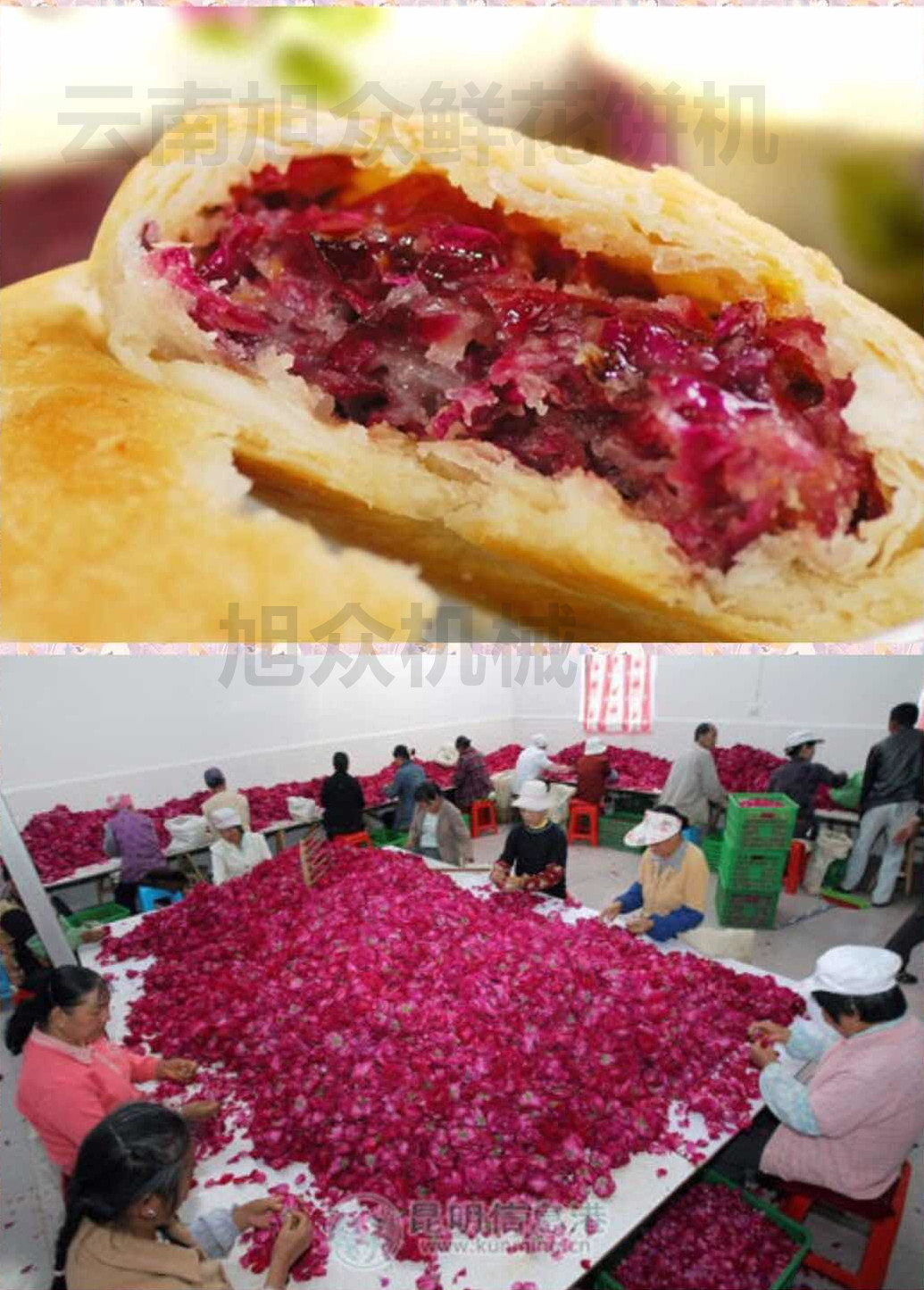 新款酥餅機(jī) 信陽(yáng)全自動(dòng)酥餅機(jī) 云南鮮花餅機(jī) 酥餅機(jī)多少錢一臺(tái)