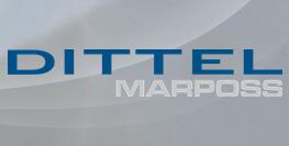 貨期短，價格好 DITTEL動平衡DITTEL K1062000