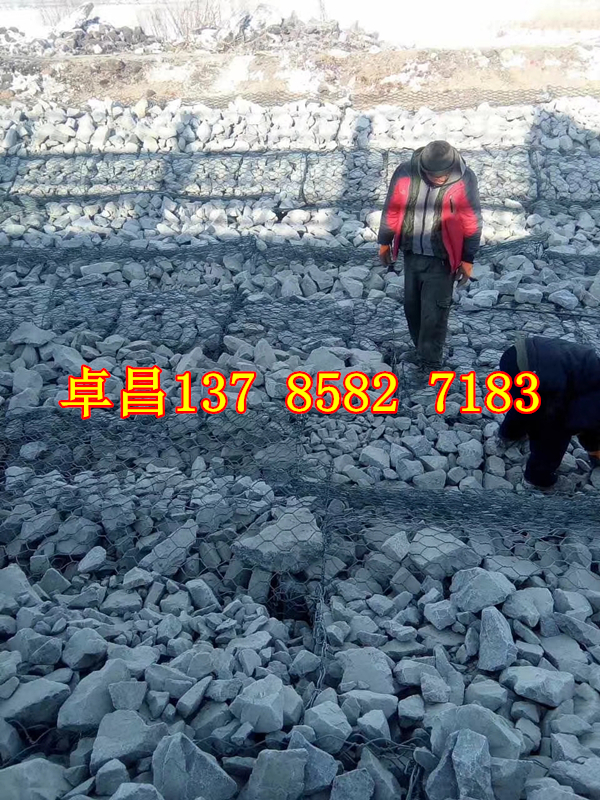 固腳綠濱墊 賓格石籠護坡 固濱籠 一平米綠濱墊價格 防洪護堤固濱籠擋墻