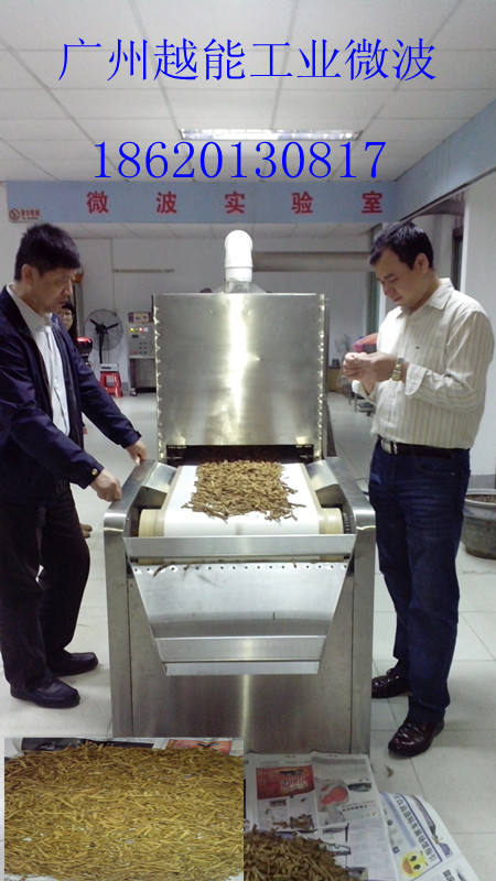 供應(yīng)黃粉蟲烘干設(shè)備微波黃粉蟲烘干機(jī)，微波黃粉蟲烘干設(shè)備烘干機(jī)