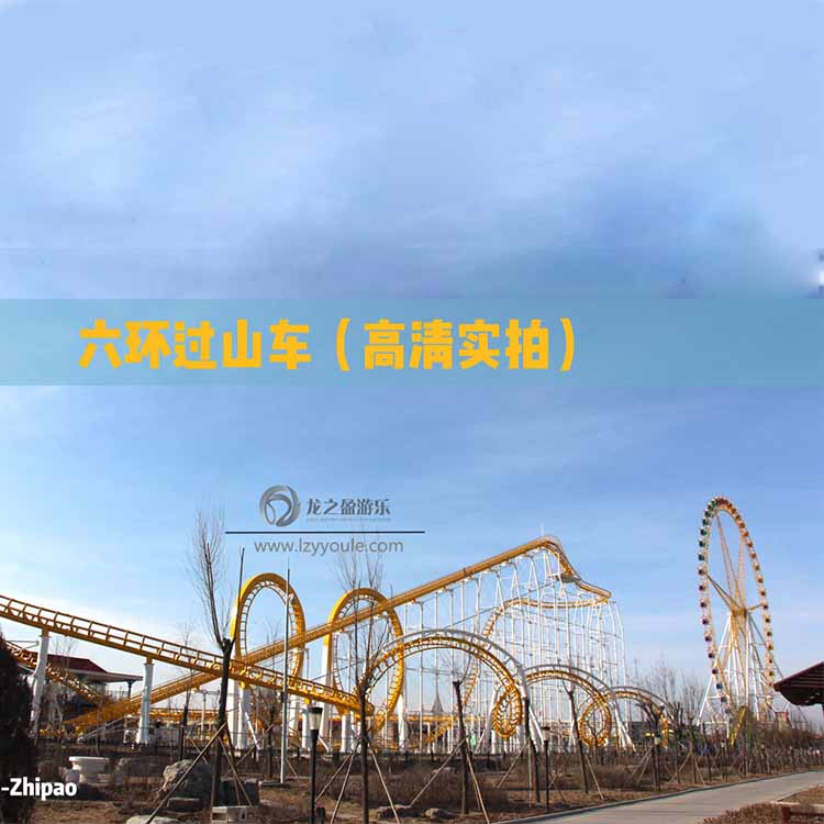 公園戶外家庭過(guò)山車中小型游樂設(shè)備