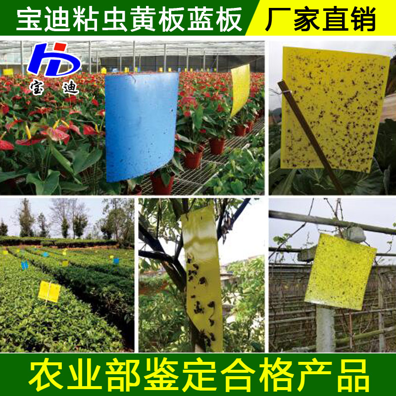 太陽能殺蟲燈廠家，頻振式殺蟲燈生產(chǎn)廠家果園農(nóng)場*