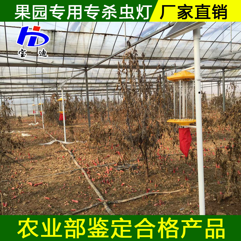 太陽能殺蟲燈廠家，頻振式殺蟲燈生產(chǎn)廠家果園農(nóng)場*