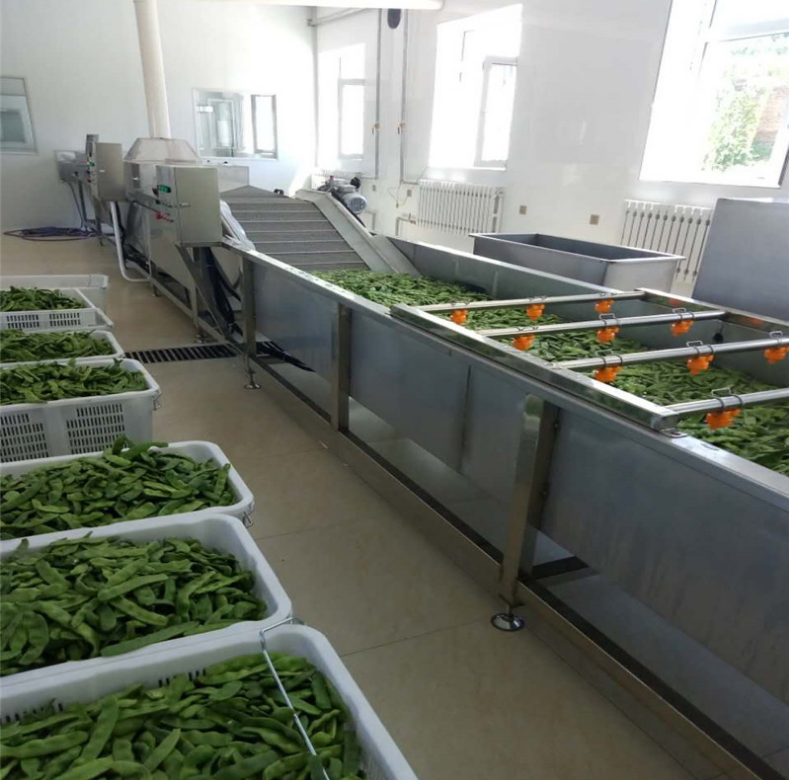 葉菜 、根莖氣泡清洗機 葉菜 、根莖凈菜清洗機