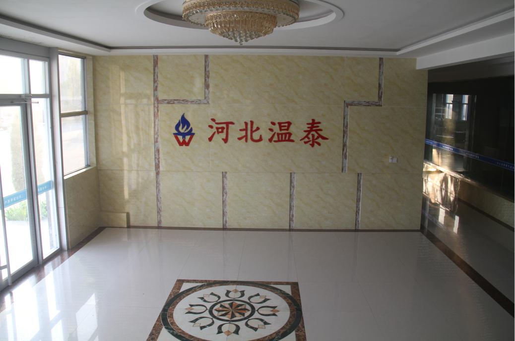 溫爾泰壁掛爐