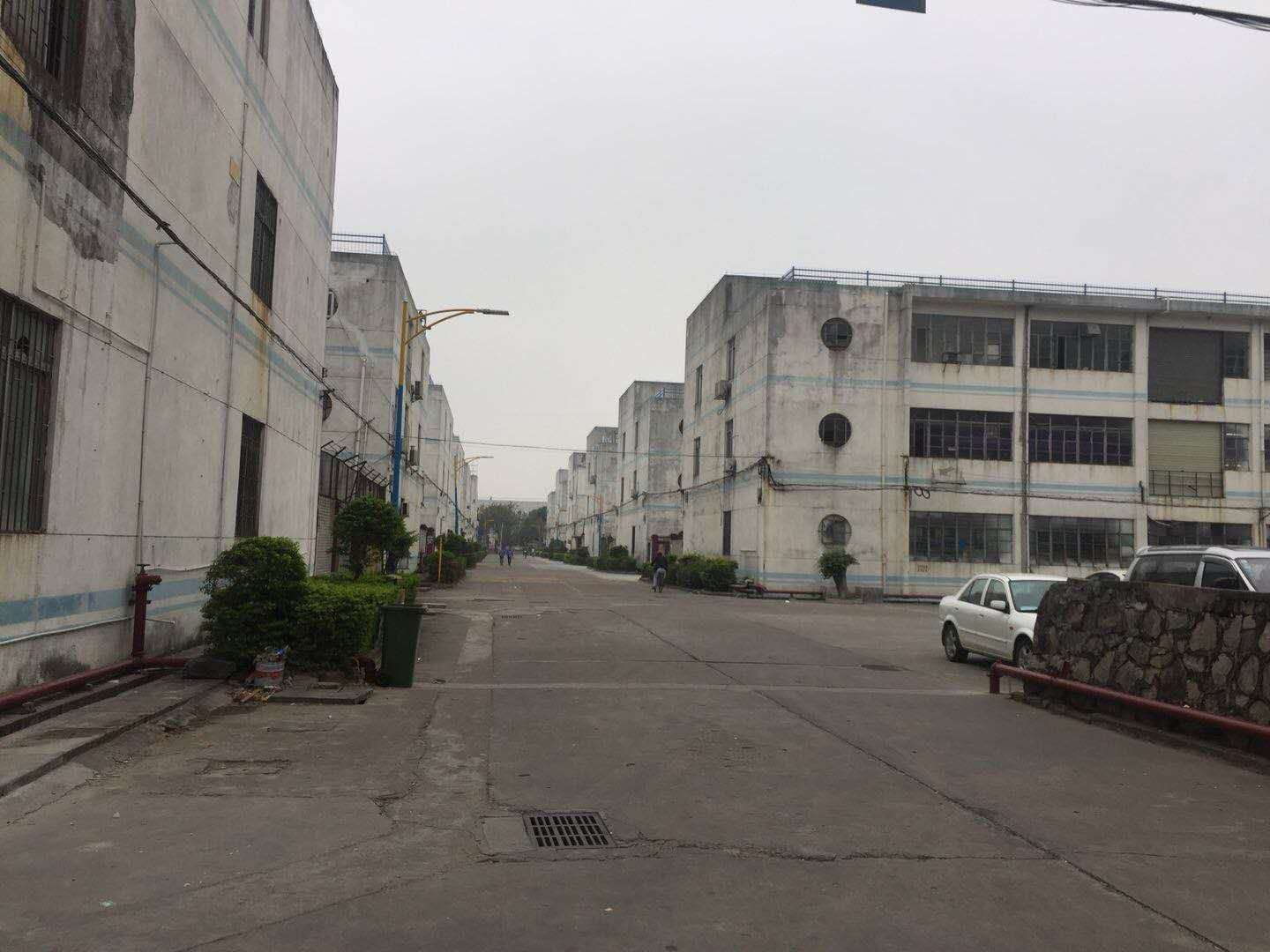 塘廈大道南新出標準2樓1250平，業(yè)主好說話 業(yè)主好說話標準廠房