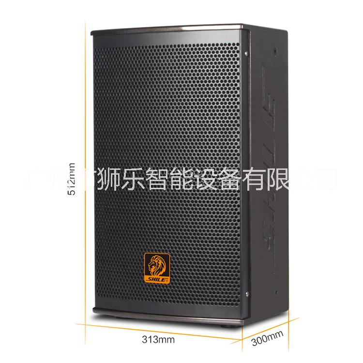 獅樂(lè)AV2018/BM10專業(yè)會(huì)議音響組合套裝設(shè)備廠家直銷 KTV音響組合套裝
