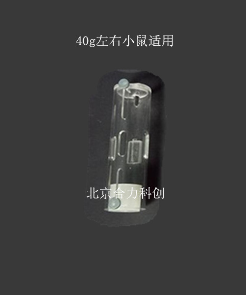 小鼠固定器  HL-XTS-20  筒式  20g小鼠尾部靜脈實驗