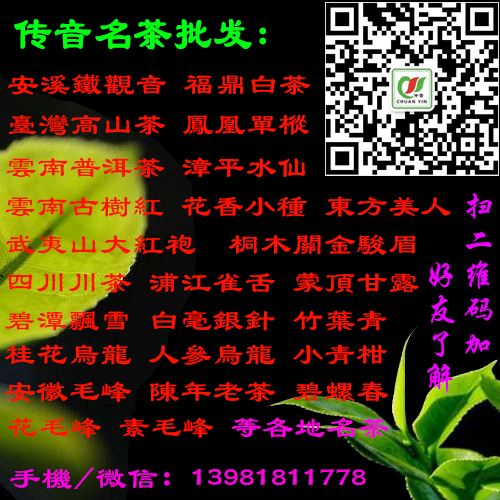 鐵觀音 鐵觀音廠家直銷 鐵觀音批發(fā)價 鐵觀音供貨商 蘭花香鐵觀音 觀音王