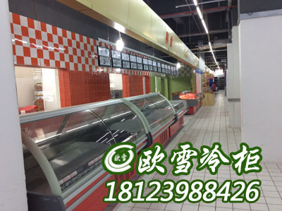 深圳寶安區(qū)哪里有廠家實(shí)體店出售鮮肉冷藏柜