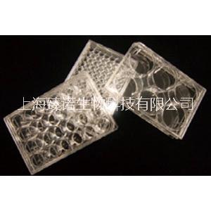 【LabServ】TC處理  細(xì)胞培養(yǎng)板 6孔 12孔 24孔 96孔
