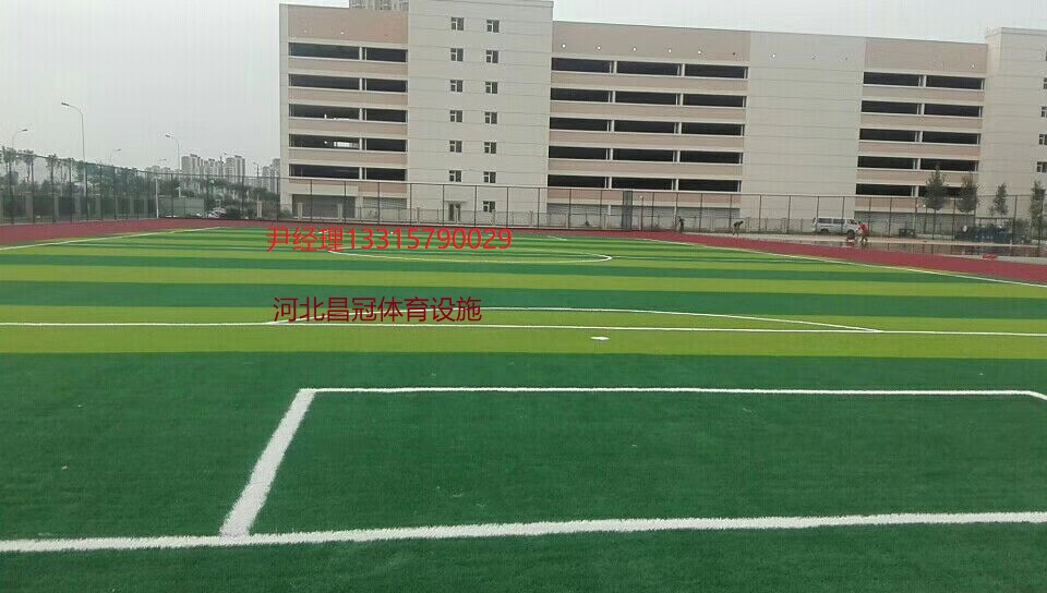 足球場(chǎng)人造草坪專業(yè)鋪裝