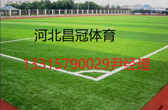 足球場(chǎng)人造草坪廠家施工