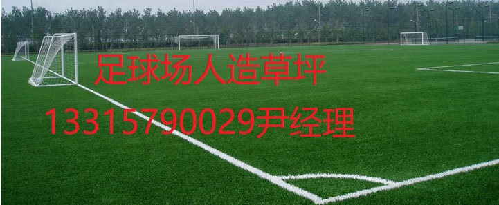 人造草坪專業(yè)鋪裝