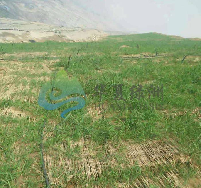 噴播綠化技術(shù) 北京噴播綠化技術(shù) 噴播綠化技術(shù)電話