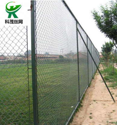 球場(chǎng)圍網(wǎng)廠家直銷 球場(chǎng)圍網(wǎng)供應(yīng)商 河北球場(chǎng)圍網(wǎng)價(jià)格 球場(chǎng)圍網(wǎng)廠家