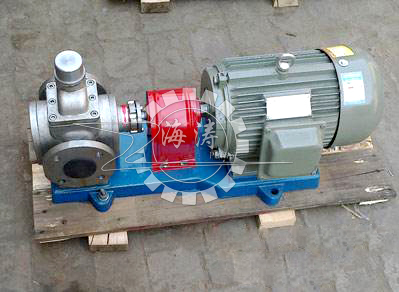 不銹鋼圓弧泵,不銹鋼圓弧齒輪泵