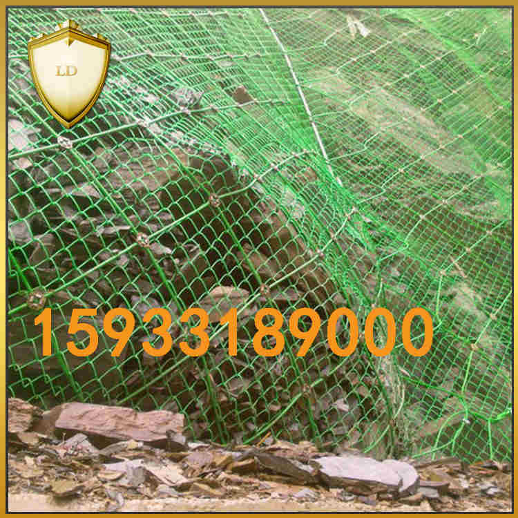 鋼絲繩網(wǎng) 鋼絲繩網(wǎng)詳情 鋼絲繩網(wǎng)*