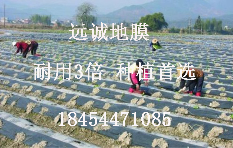 黑白相間地膜