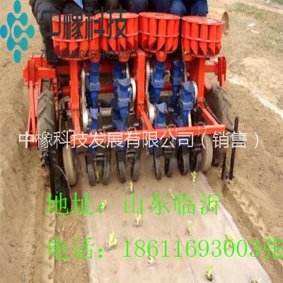 半自動(dòng)移栽機(jī) 長(zhǎng)期供應(yīng)廠家直銷(xiāo)
