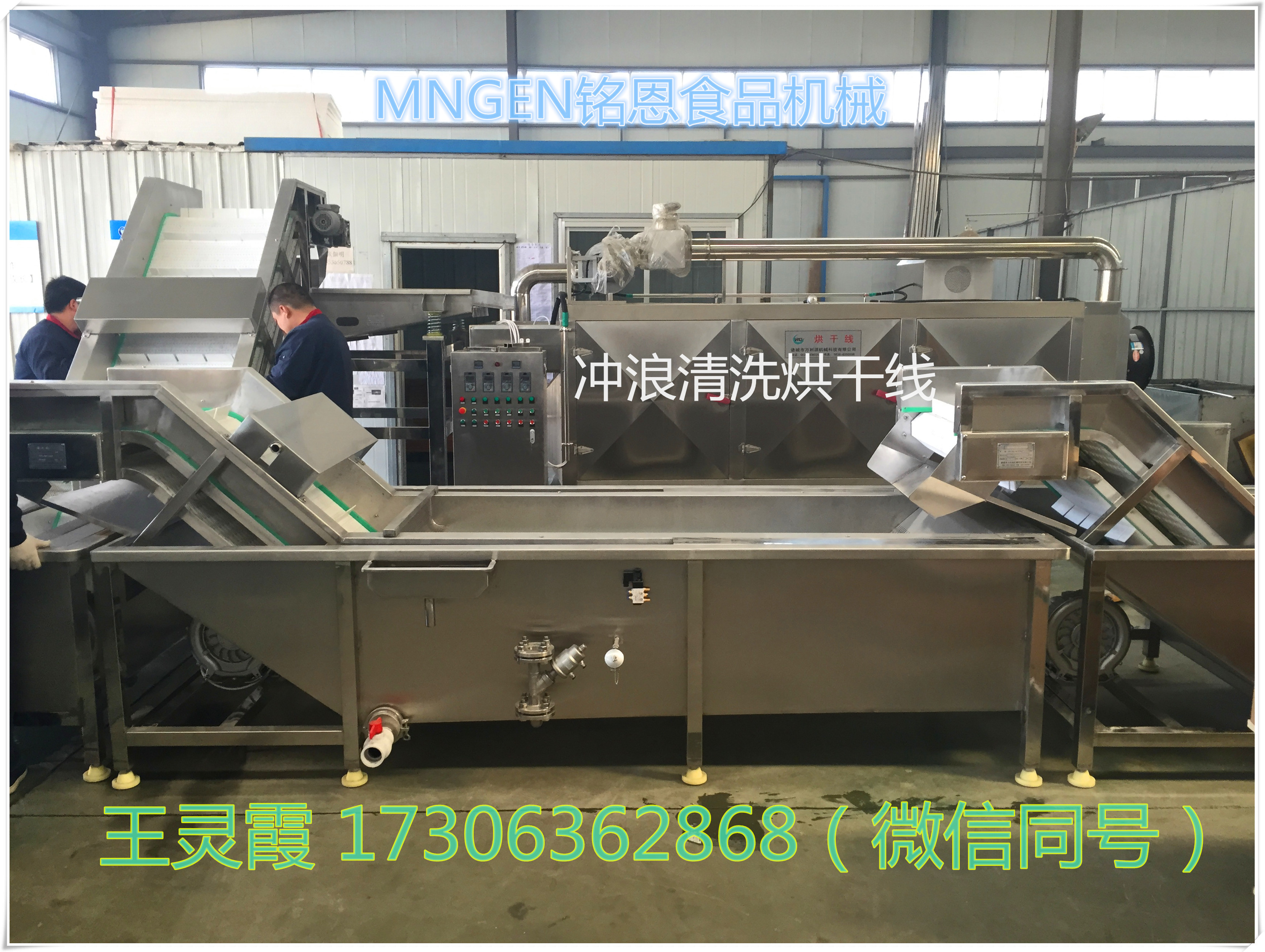 全自動連續(xù)蔬菜沖浪清洗機