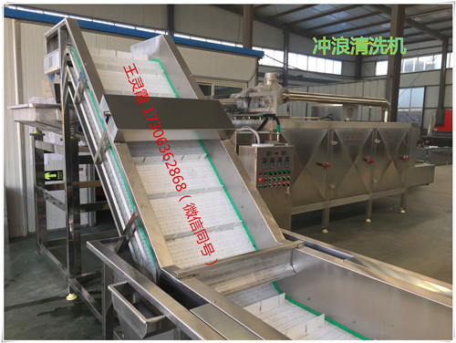 全自動連續(xù)蔬菜沖浪清洗機
