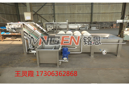 全自動連續(xù)蔬菜沖浪清洗機