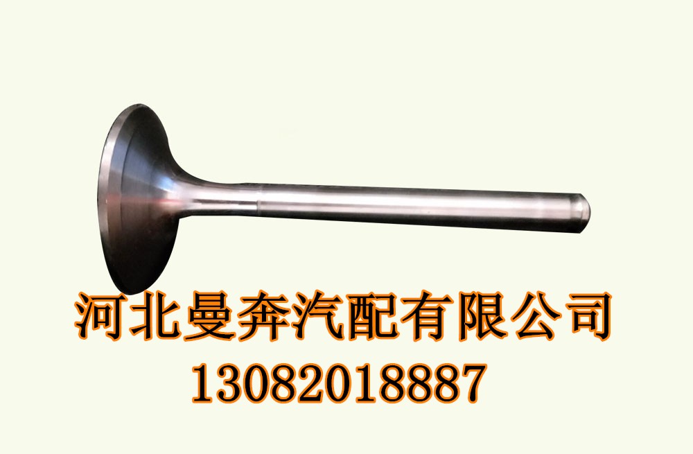 18年 曼奔廠家 提供沃爾沃氣門