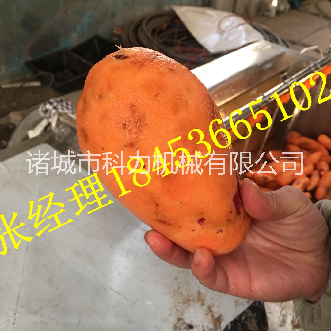 南瓜去皮毛刷清洗機(jī) 豬腳去毛毛輥洗刷設(shè)備 荸薺土豆脫皮機(jī)器 張